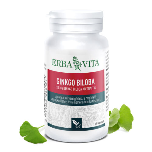 Natur Tanya® E. GINKGO BILOBA - 120 mg Ginkgo biloba kivonat, normál vérkeringés, megfelelő agyműködés és memória